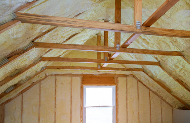 Best Attic Insulation Installation  in USA